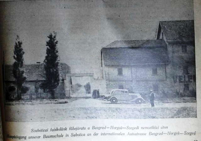 rasadnik subotica 2