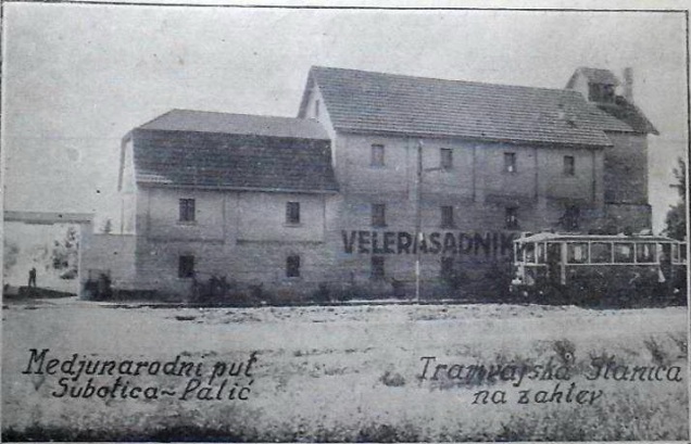 rasadnik subotica