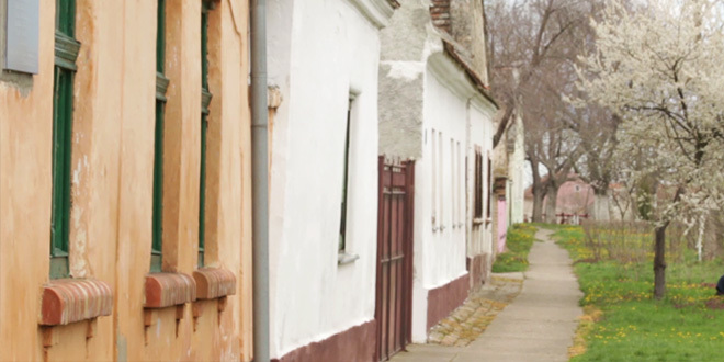 selo-jpg_660x330
