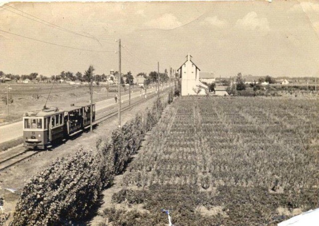 tramvaj subotica palic