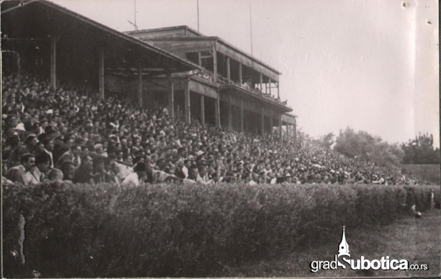 spartak vojvodina 1946