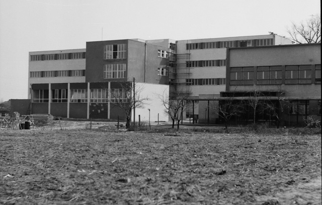 visa pedagoska subotica