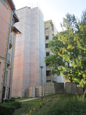 Picture 001