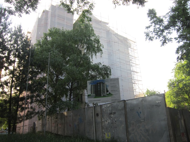 Picture 002