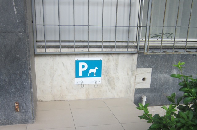 parking za pse (1)