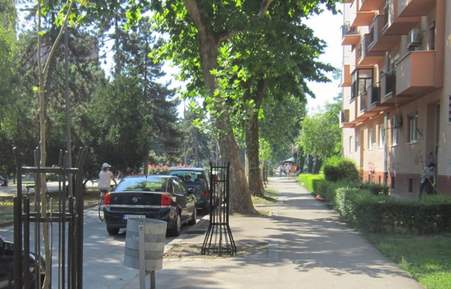 radijalac (1)