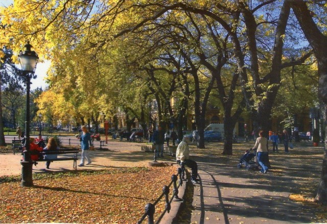 subotica jesen