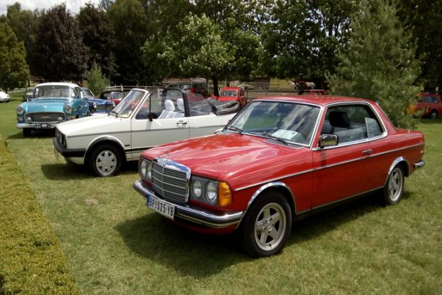 oldtimer (3)