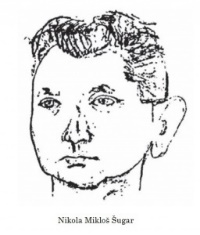 nikola-sugar-grafika