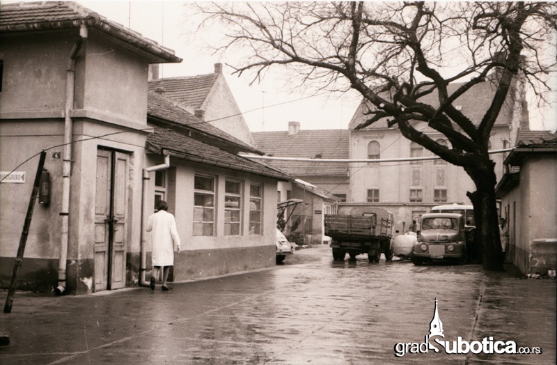 stara mlekara subotica (4)