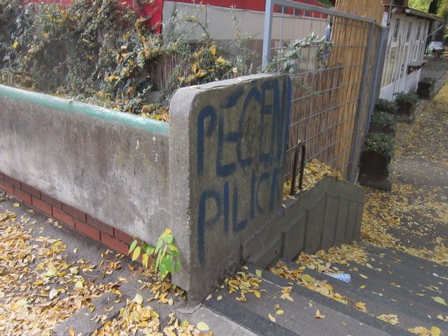 peceni pilici 1