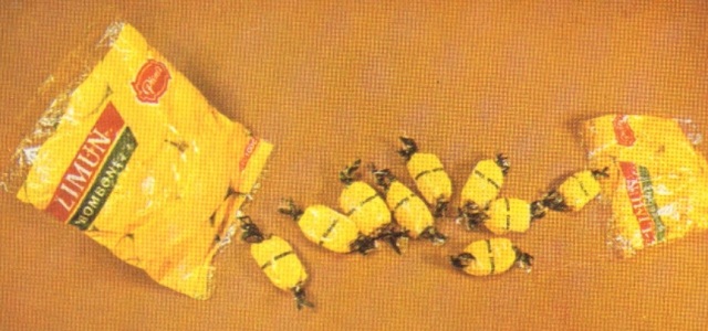 pionir subotica (10)