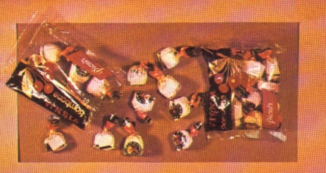 pionir subotica (11)