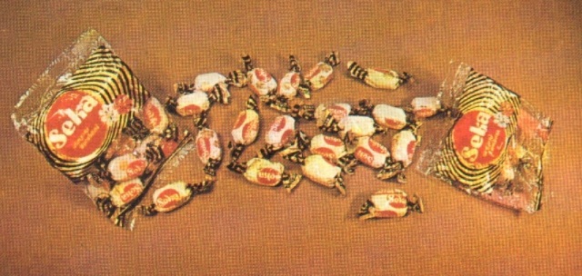 pionir subotica (30)