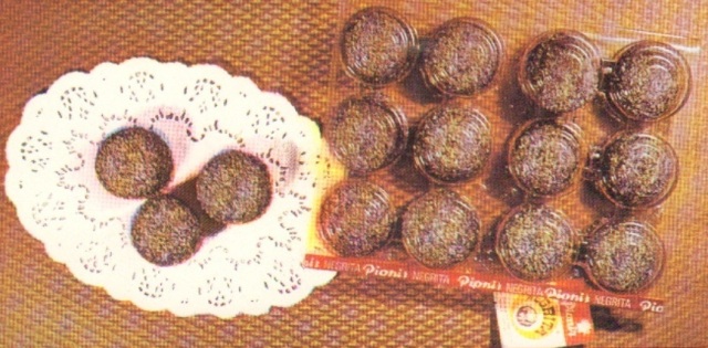 pionir subotica (31)