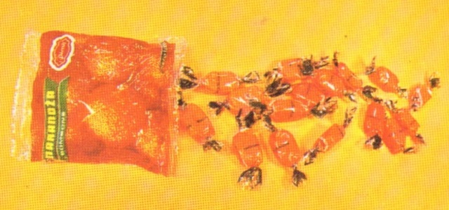 pionir subotica (33)